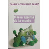 Marea spaima de la munte