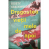 Dragostea vietii mele de apoi