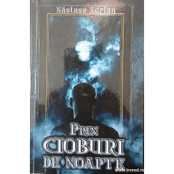 Prin cioburi de noapte