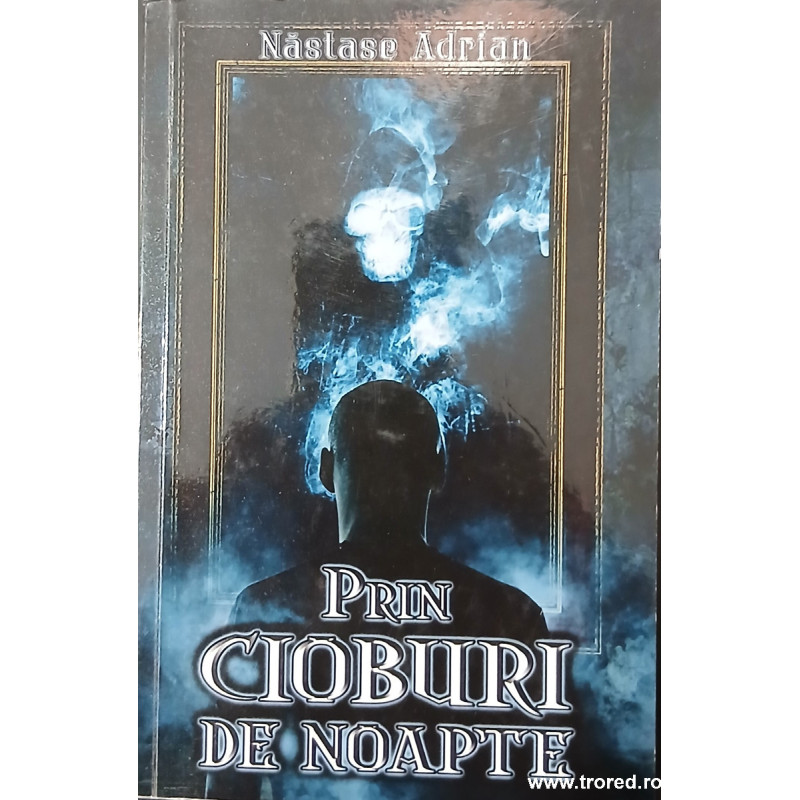 Prin cioburi de noapte