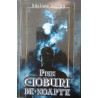 Prin cioburi de noapte
