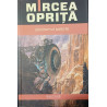 Sindromul Quijote