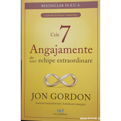 Cele 7 angajamente ale unei echipe extraordinare