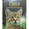 Pisica Ceea ce trebuie sa stim despre rase comportament ingrijire reproducere