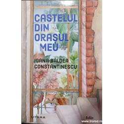 Castelul din orasul meu