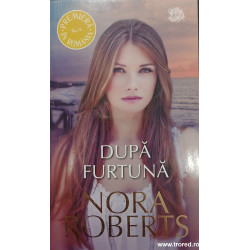 Dupa furtuna