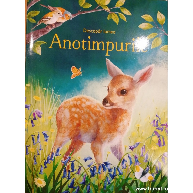 Anotimpurile