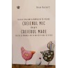 Creierul mic despre creierul mare