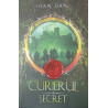 Curierul secret Ioan Dan volumul 2
