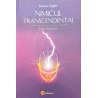 Nimicul transcendental Eseu initiatic