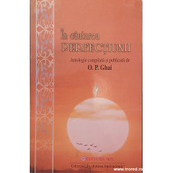 In cautarea perfectiunii