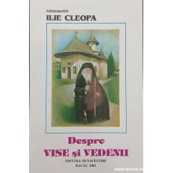Despre vise si vedenii
