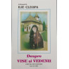 Despre vise si vedenii