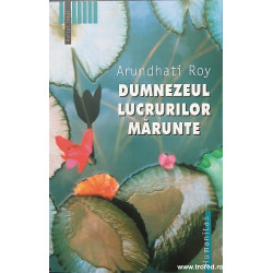 Dumnezeul lucrurilor marunte