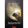 Amantele Elfriede Jelinek