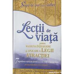 Lectii de viata pentru mai buna intelegere si aplicare a legii atractiei
