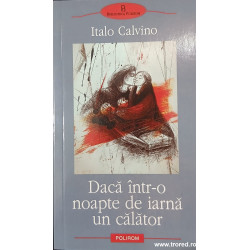 Daca intr-o noapte de iarna un calator