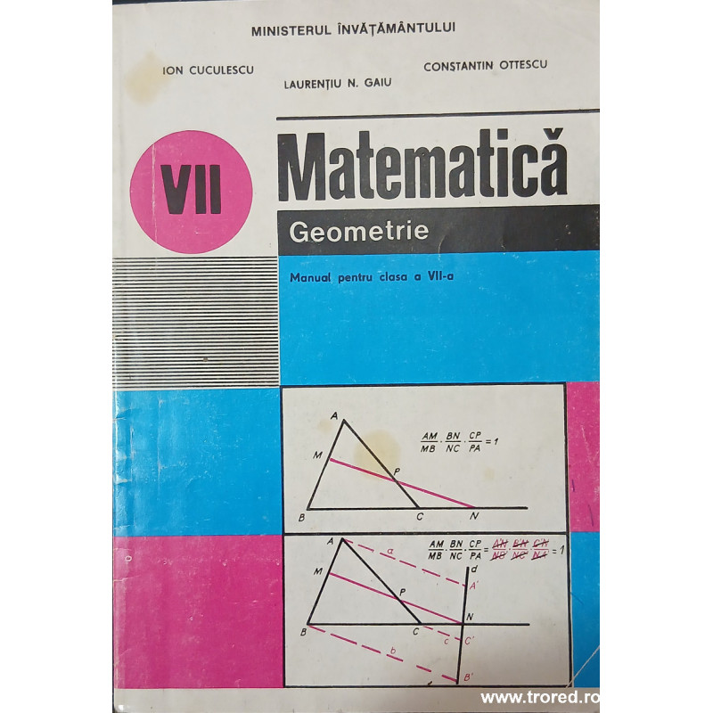Matematica Geometrie Manual pentru clasa a VII-a