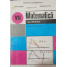 Matematica Geometrie Manual pentru clasa a VII-a