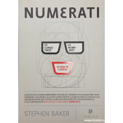 Numerati Stephen Baker