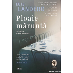 Ploaie marunta