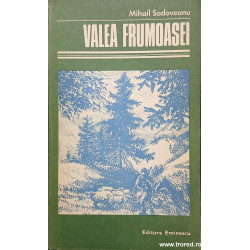 Valea frumoasei