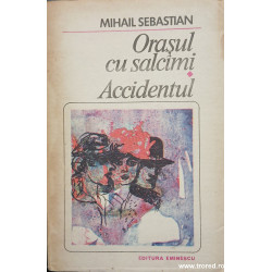 Orasul cu salcami Accidentul