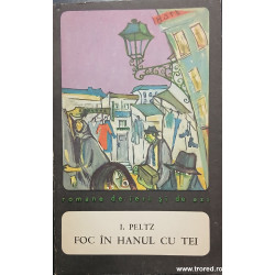 Foc in Hanul cu Tei