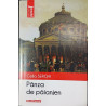 Panza de paianjen