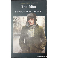 The Idiot