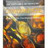 Condimente Origine Gust Intrebuintari Retete