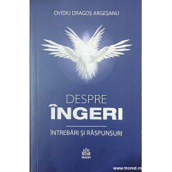 Despre ingeri Intrebari si raspunsuri