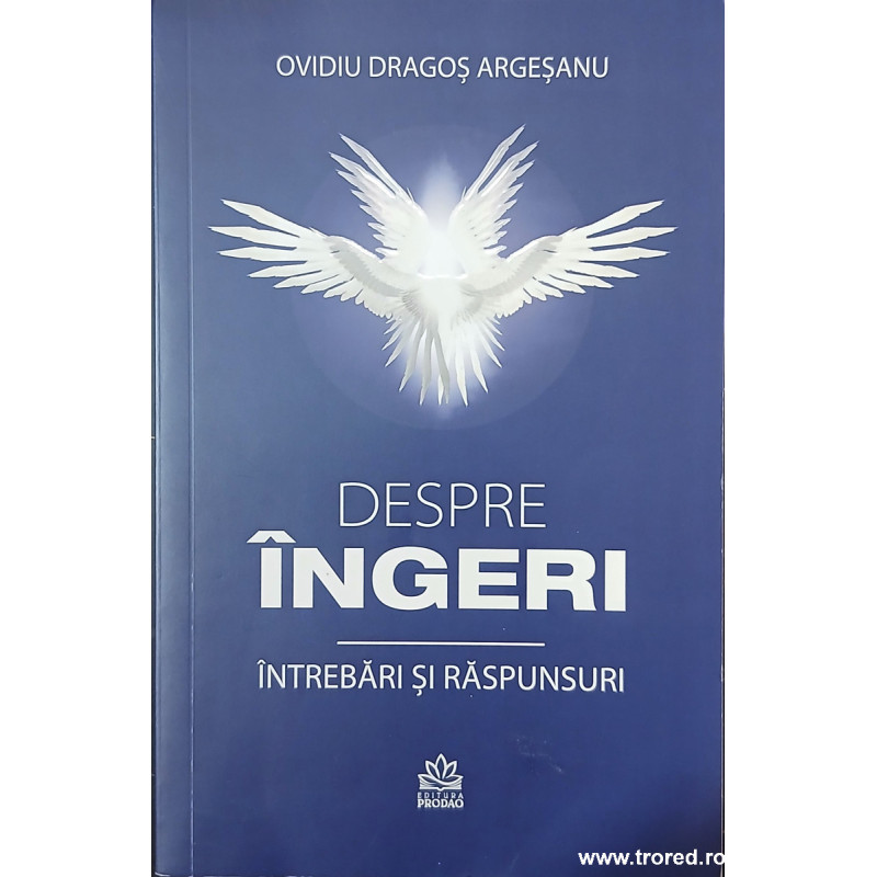 Despre ingeri Intrebari si raspunsuri