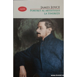 Portret al artistului la tinerete