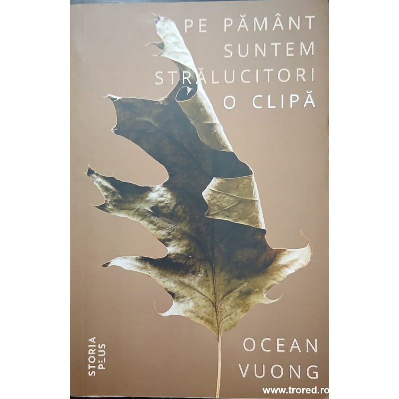 Pe pamant suntem stralucitori o clipa
