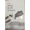 Sibiul in alb si negru N. I. Dobra