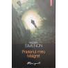 Prietenul meu Maigret