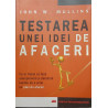Testarea unei idei de afaceri