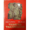 Tezaure Transilvane Radu Florescu