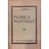 Florica Mantului