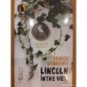 Lincoln între vieţi