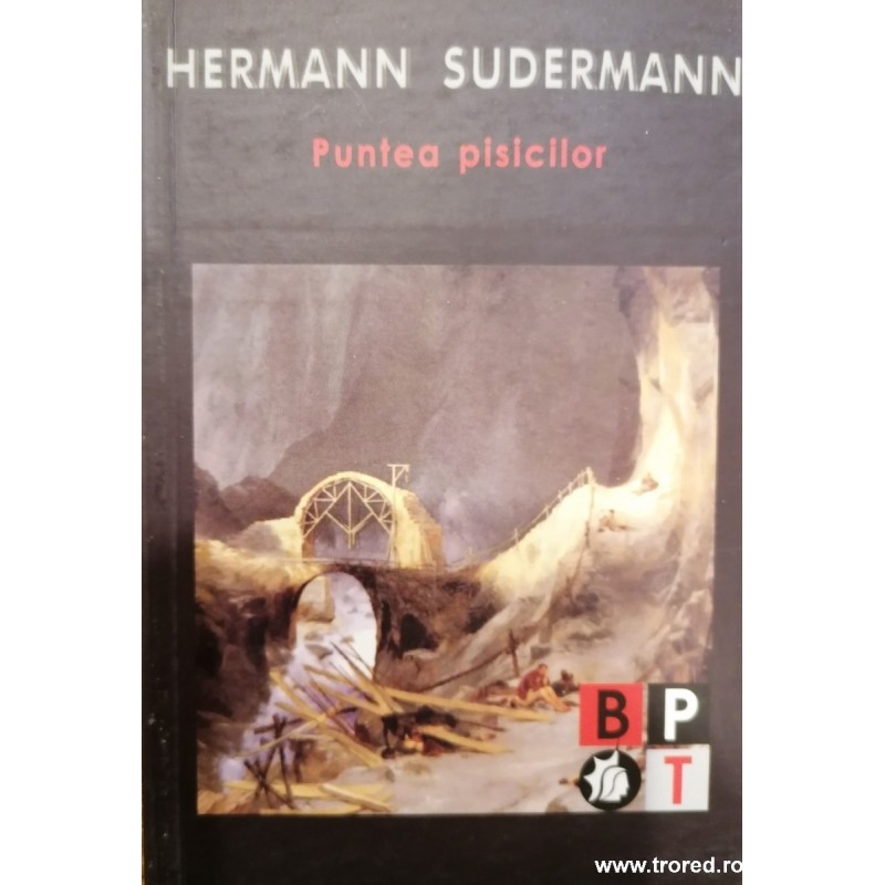 Puntea pisicilor