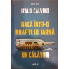 Daca intr-o noapte de iarna un calator