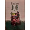 Primul meu job