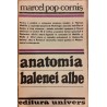 Anatomia balenei albe
