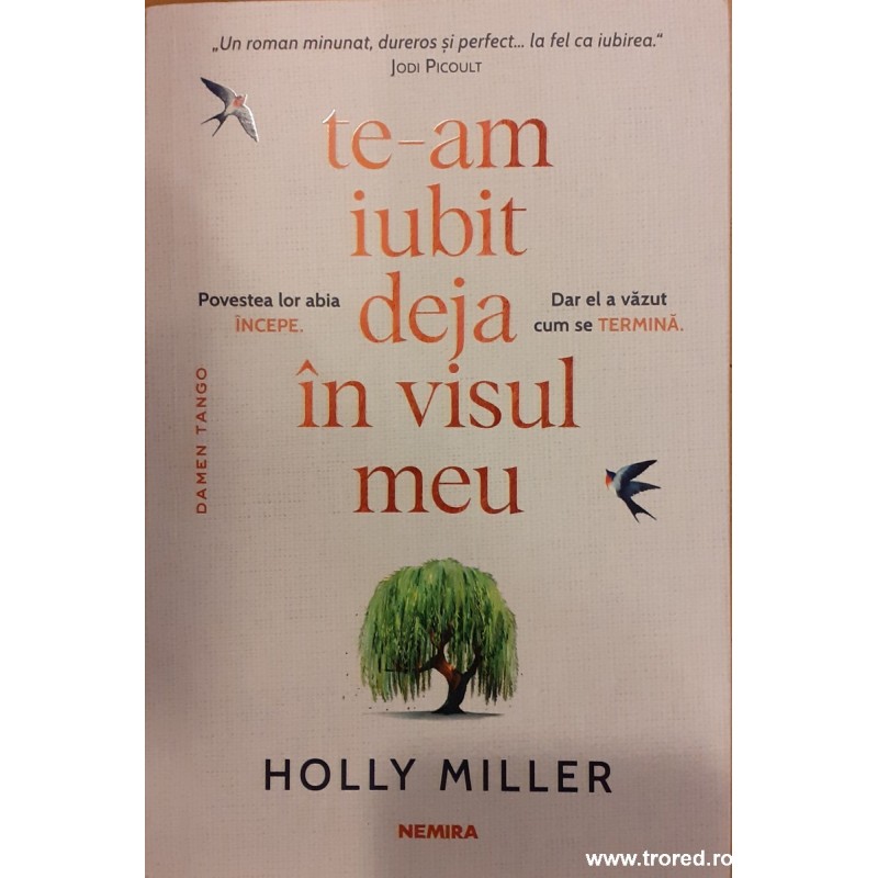 Te-am iubit deja in visul meu