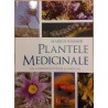 Plantele medicinale De la remedii naturiste la medicina