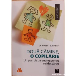 Doua camine, o copilarie. Un plan de parenting pentru cei despartiti