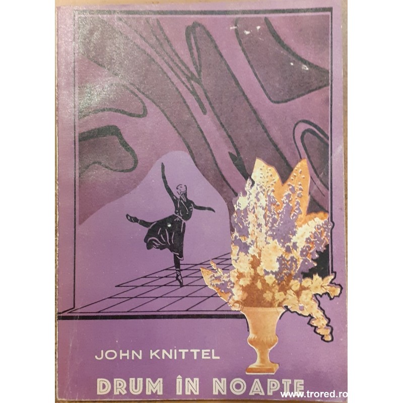 Drum in noapte