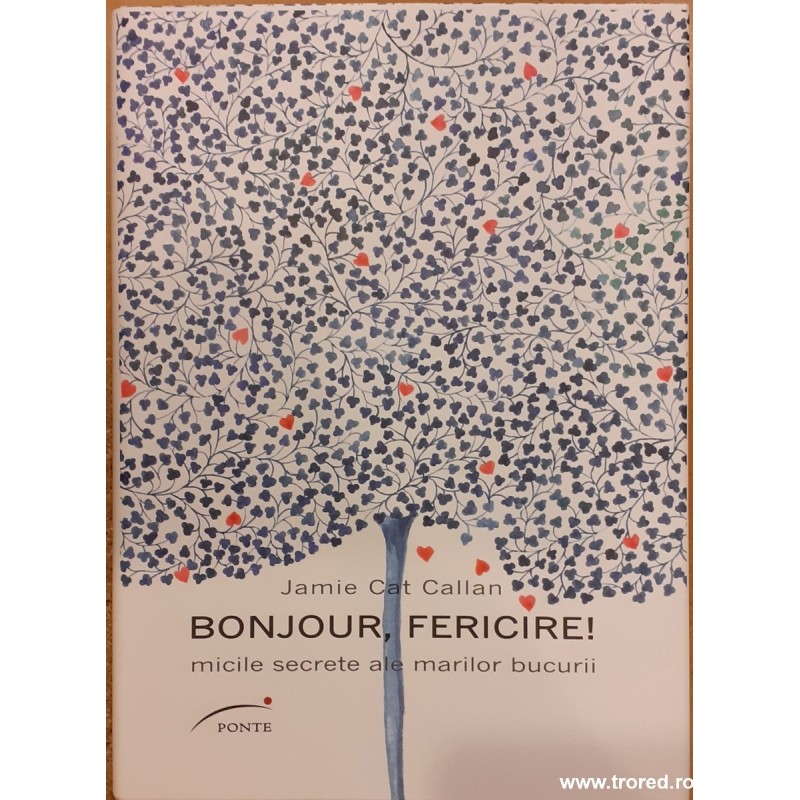 Bonjour, fericire! micile secrete ale marilor bucurii